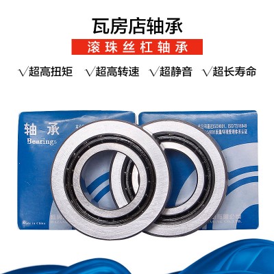 瓦房店滾珠絲杠BSB030062/RZ/SUL/P4/P2密封自由組合30TAC62B